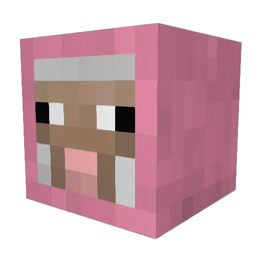 SaviniJason2016 Minecraft avatar head, 3D render