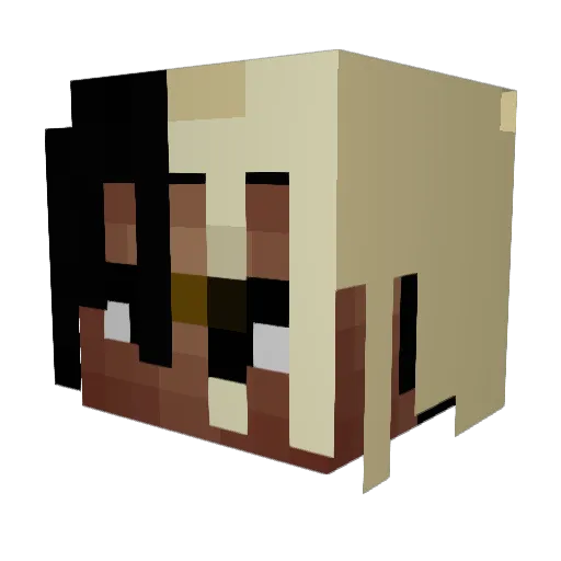 Savion23 Minecraft avatar head, 3D render