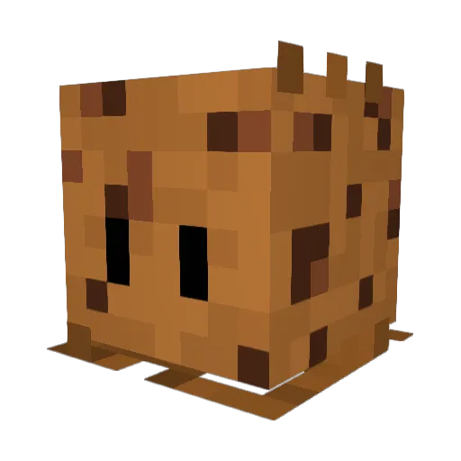 SaviorCookie Minecraft avatar head, 3D render