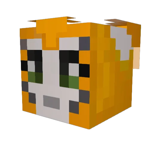 Savior_Hobo Minecraft avatar head, 3D render
