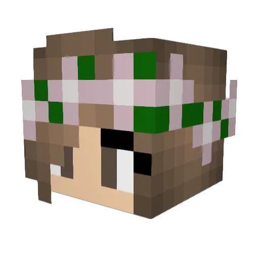 Savjuh Minecraft avatar head, 3D render