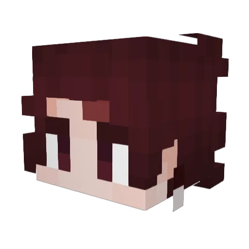 Savory_IIPotata Minecraft avatar head, 3D render