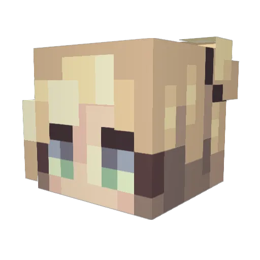 Savvy0814 Minecraft avatar head, 3D render