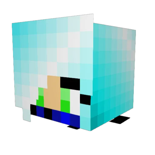 Savvy493 Minecraft avatar head, 3D render