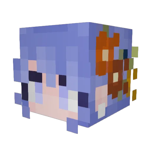 Savvy511 Minecraft avatar head, 3D render
