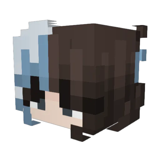 SavvyDavvyDoo Minecraft avatar head, 3D render