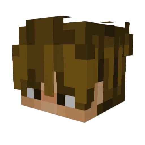 SavvyP01 Minecraft avatar head, 3D render