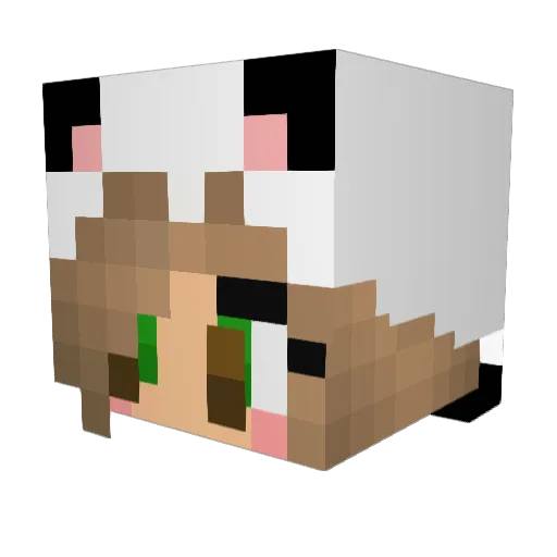 SavvyPanda16 Minecraft avatar head, 3D render