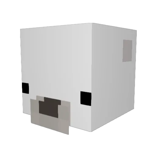 SavvySeal Minecraft avatar head, 3D render