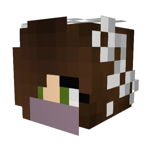 SavvySenpai88 Minecraft avatar head, 3D render