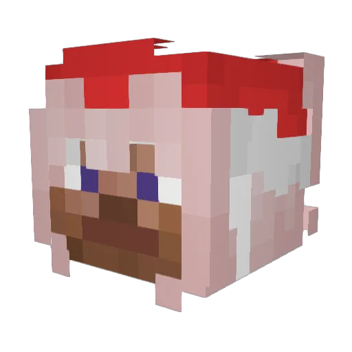 SawYourCash Minecraft avatar head, 3D render