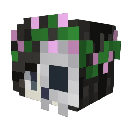 SawahDerpsAl0t Minecraft avatar head, 3D render