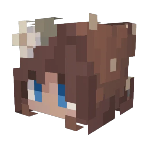 Sawanna Minecraft avatar head, 3D render