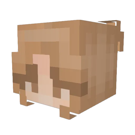 Sawendling Minecraft avatar head, 3D render