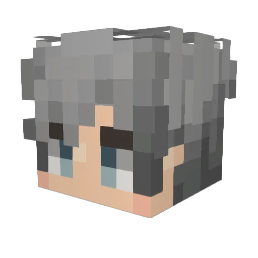 Sawney_ Minecraft avatar head, 3D render