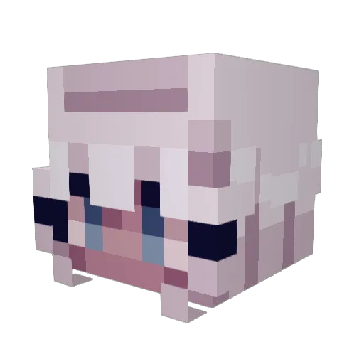Sawnswan Minecraft avatar head, 3D render