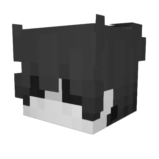 Sawtinn Minecraft avatar head, 3D render