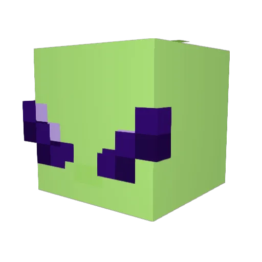 SawyerFinn Minecraft avatar head, 3D render