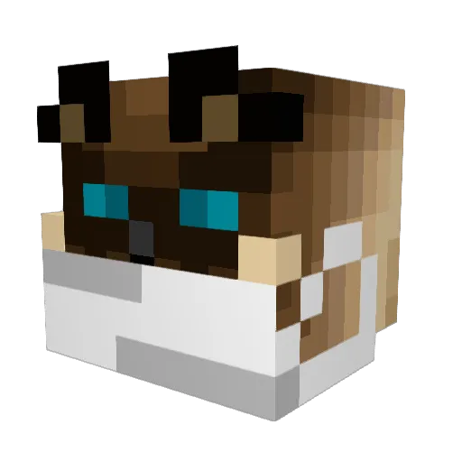 SawyerJ1111 Minecraft avatar head, 3D render