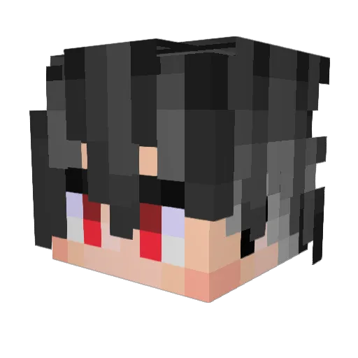 Say009_ Minecraft avatar head, 3D render