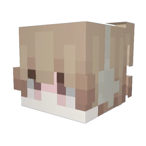 Sayander_ Minecraft avatar head, 3D render