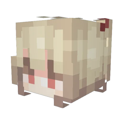 Saydcraft Minecraft avatar head, 3D render