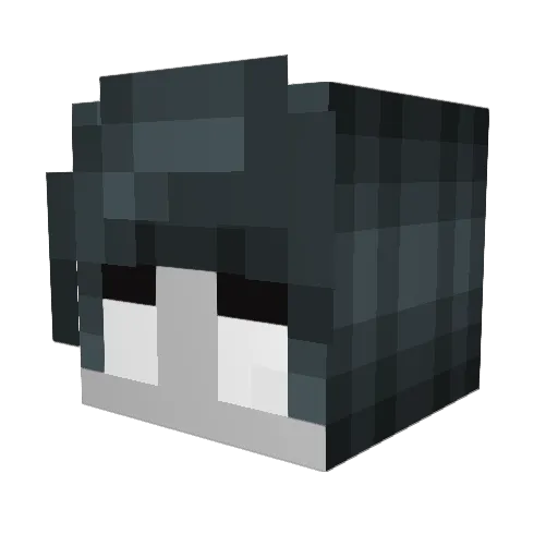 SayerSaid Minecraft avatar head, 3D render