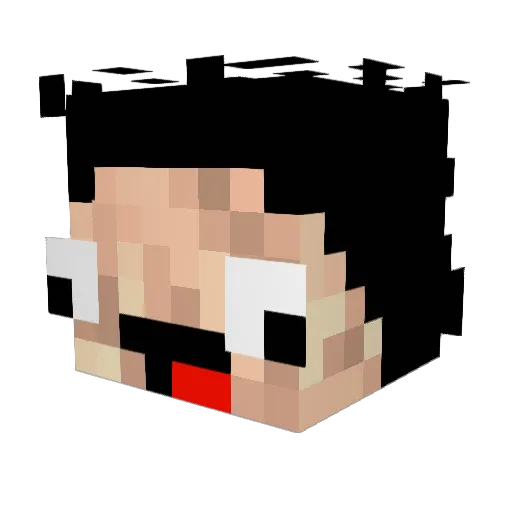 Sayfaie Minecraft avatar head, 3D render