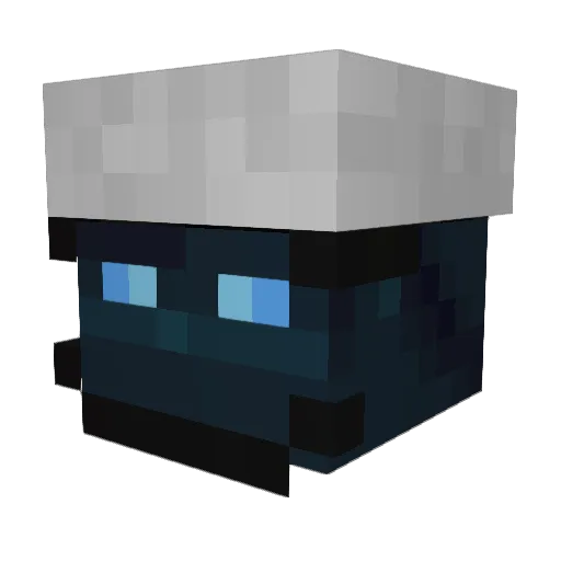 Sayfoulpe Minecraft avatar head, 3D render