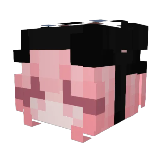 Saylennnnn Minecraft avatar head, 3D render