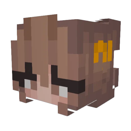 Sayllii_ Minecraft avatar head, 3D render