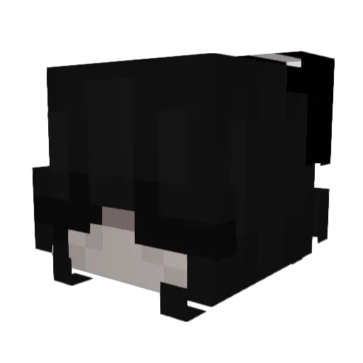 Saylow__ Minecraft avatar head, 3D render
