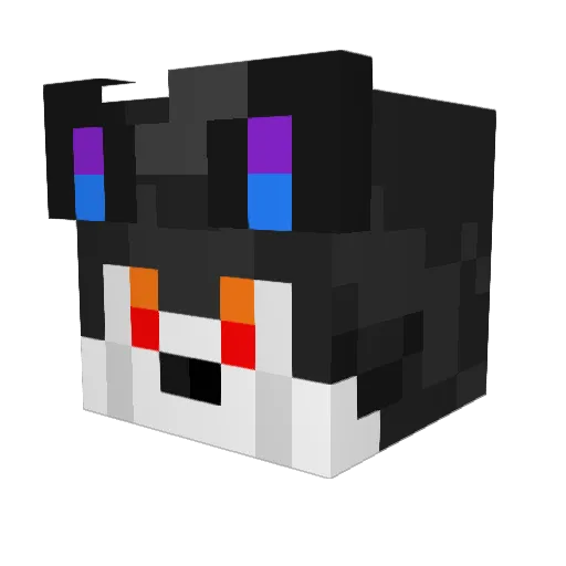 Saymonn Minecraft avatar head, 3D render