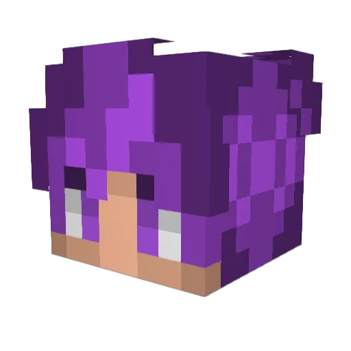 Saynix_ Minecraft avatar head, 3D render