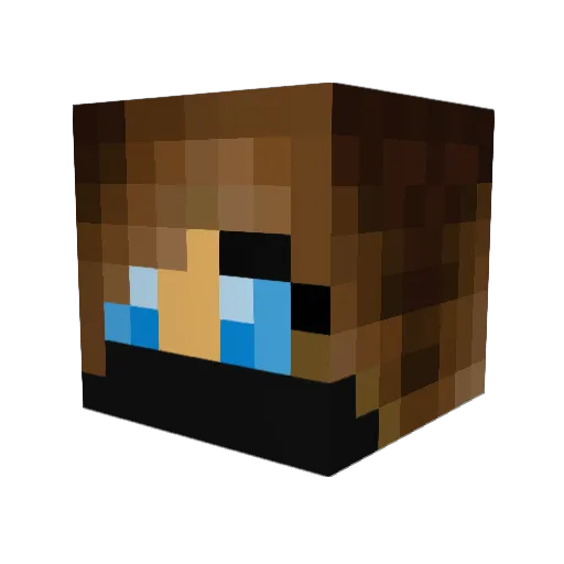 Sayomiko Minecraft avatar head, 3D render