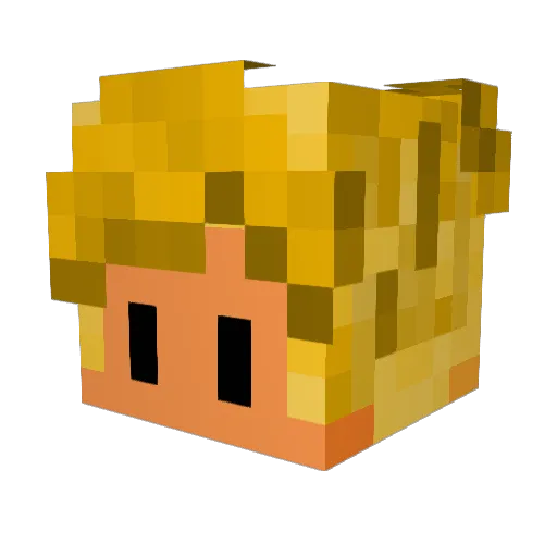 Sayrow_ Minecraft avatar head, 3D render