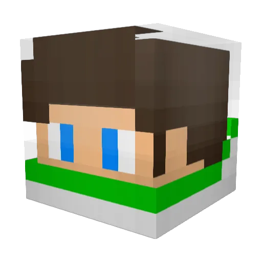 SaysMeSo Minecraft avatar head, 3D render