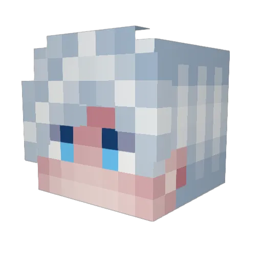 Sayslide Minecraft avatar head, 3D render