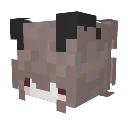 Sayur0 Minecraft avatar head, 3D render