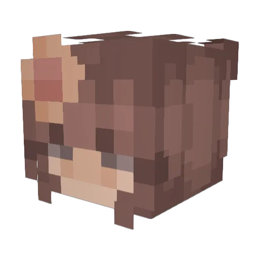 SayuriSake Minecraft avatar head, 3D render
