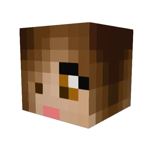 Sayurichavarriad Minecraft avatar head, 3D render