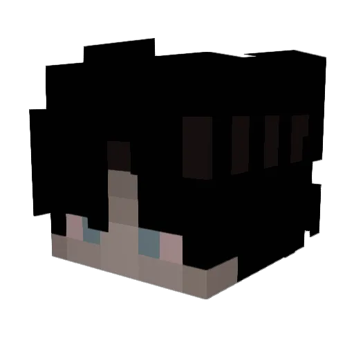 Sayyyyz Minecraft avatar head, 3D render
