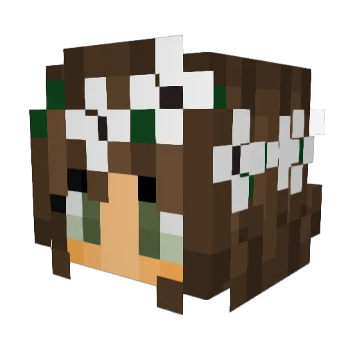 SazBazCaz101 Minecraft avatar head, 3D render