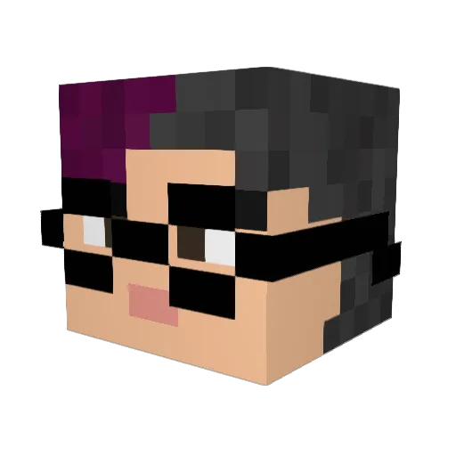 Sbirdy Minecraft avatar head, 3D render