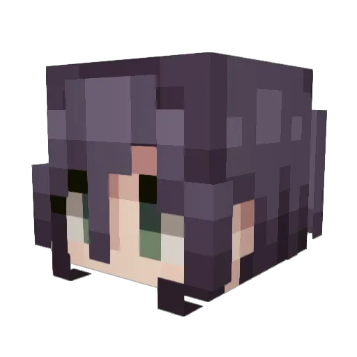 Sbjy_Max Minecraft avatar head, 3D render