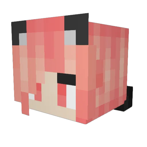 Sblove885 Minecraft avatar head, 3D render