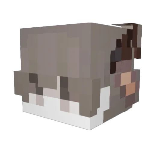 Sbritz Minecraft avatar head, 3D render
