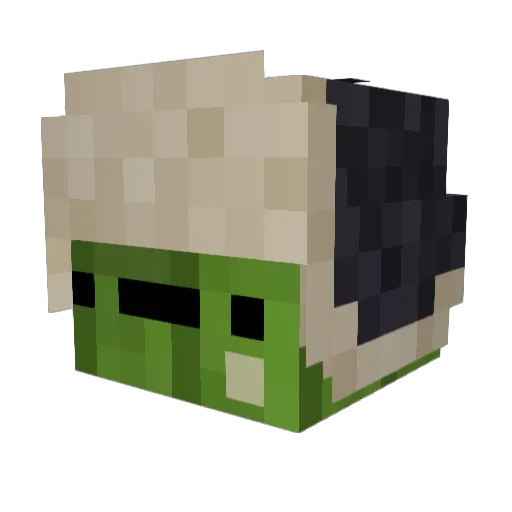 Sc00per_ Minecraft avatar head, 3D render