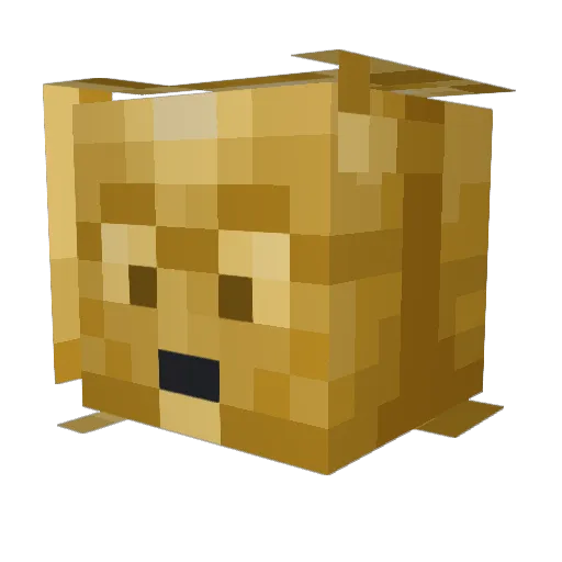 Sc01a_ Minecraft avatar head, 3D render