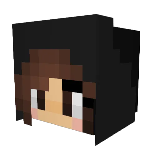 Sc077ish Minecraft avatar head, 3D render